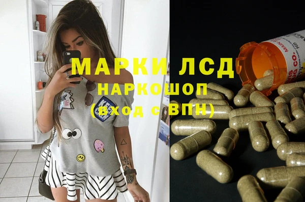 спайс Аркадак